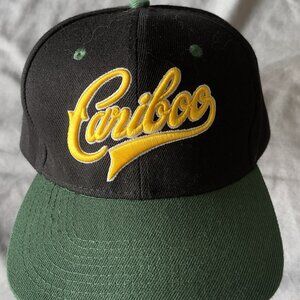 Cariboo Beer Two-Tone Hat — Black & Forest Green — Adjustable